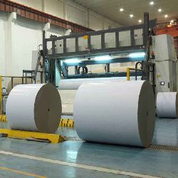 White Top Liner Board